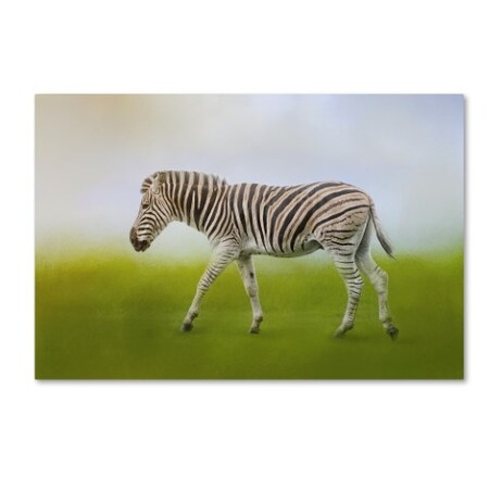 Jai Johnson 'Journey Of The Zebra' Canvas Art,22x32